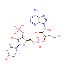 sorry, the picture is missed