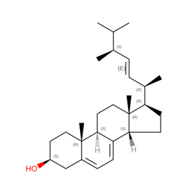 sorry, the picture is missed