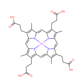 sorry, the picture is missed