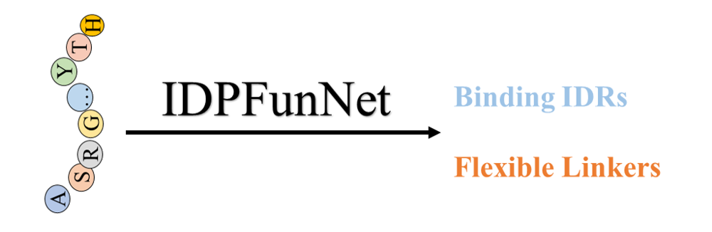 IDPFunNet