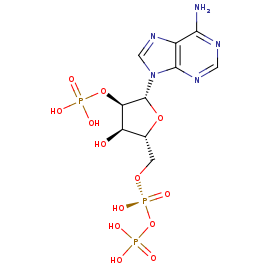 N/A