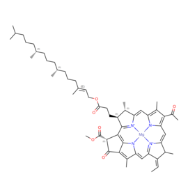 N/A
