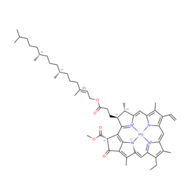 N/A