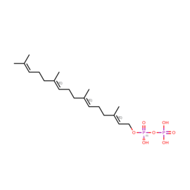 N/A