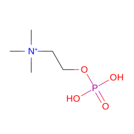 N/A