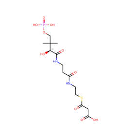 N/A