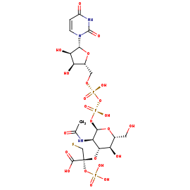 N/A